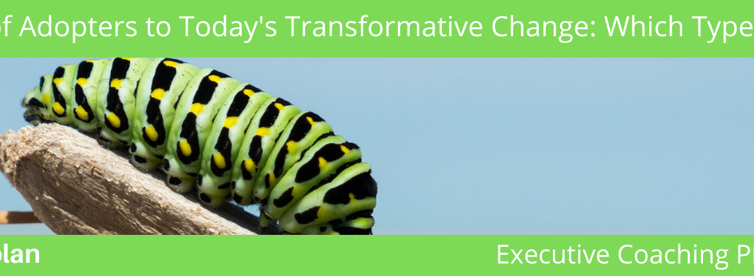 5 Types of Adopters to Today’s Transformative Change: Which Type Are You? (Part 2)